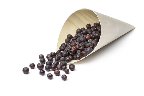 Quels modèles de sacoches sont les plus pratiques et tendance pour une journée bien remplie ?